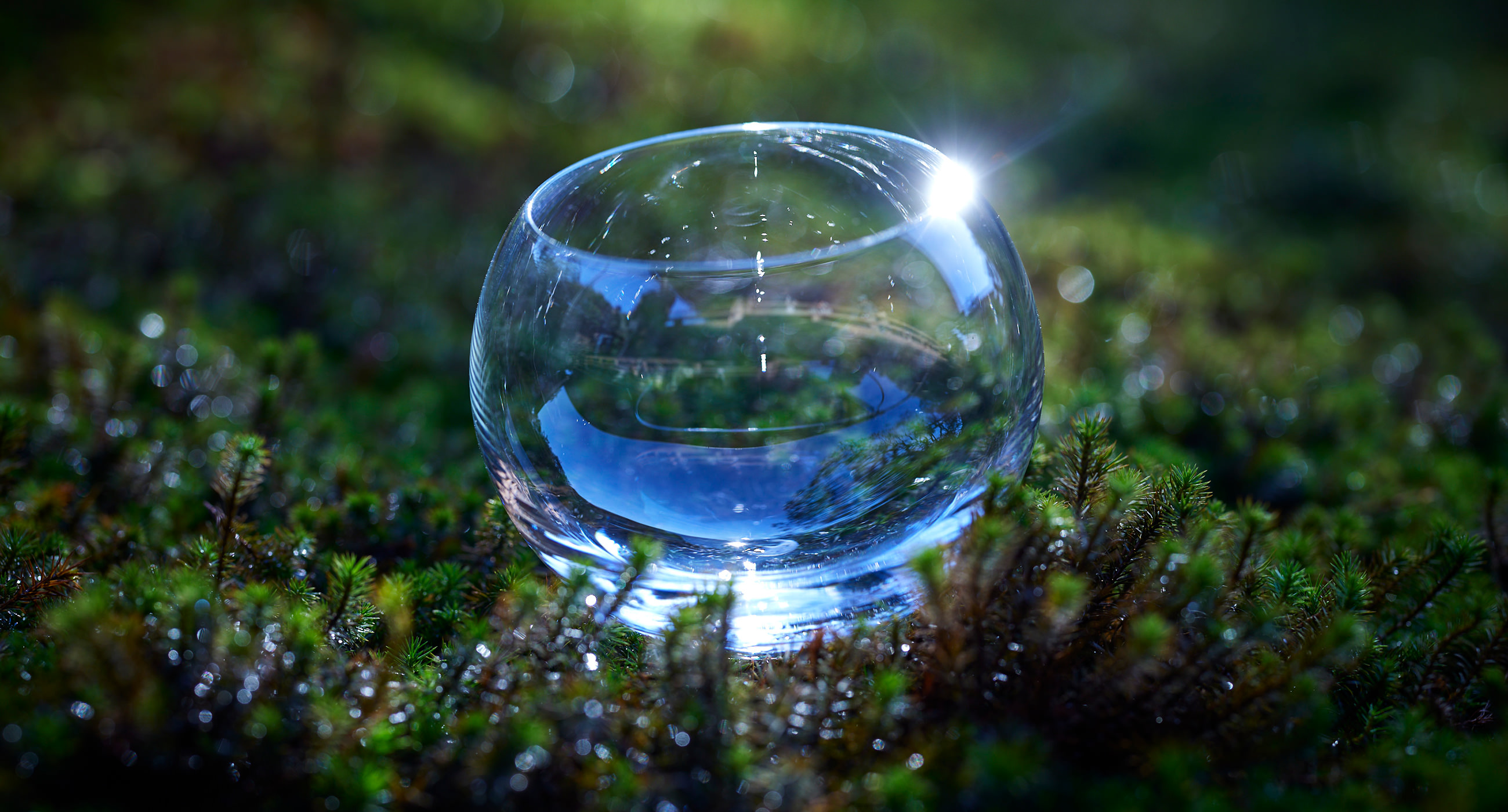 ENISHI | WATASHI JAPAN | 公式オンラインストア